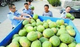 临沧网红吃瓜群微信号,一场场热议背后的网络狂欢”